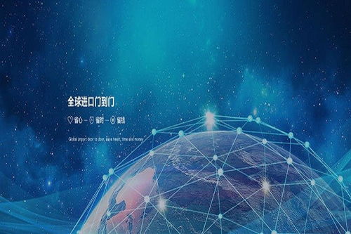 江蘇冷凍魚肉全球門到門服務與信息技術咨詢的融合發展